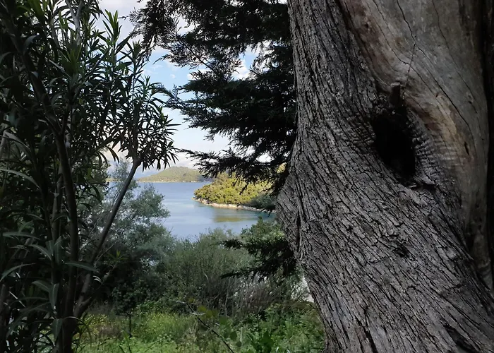 Ktima Bird Paradise *